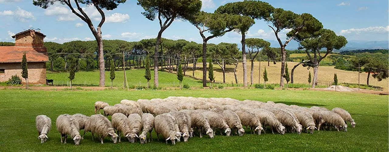 i casali del pino 1.jpg