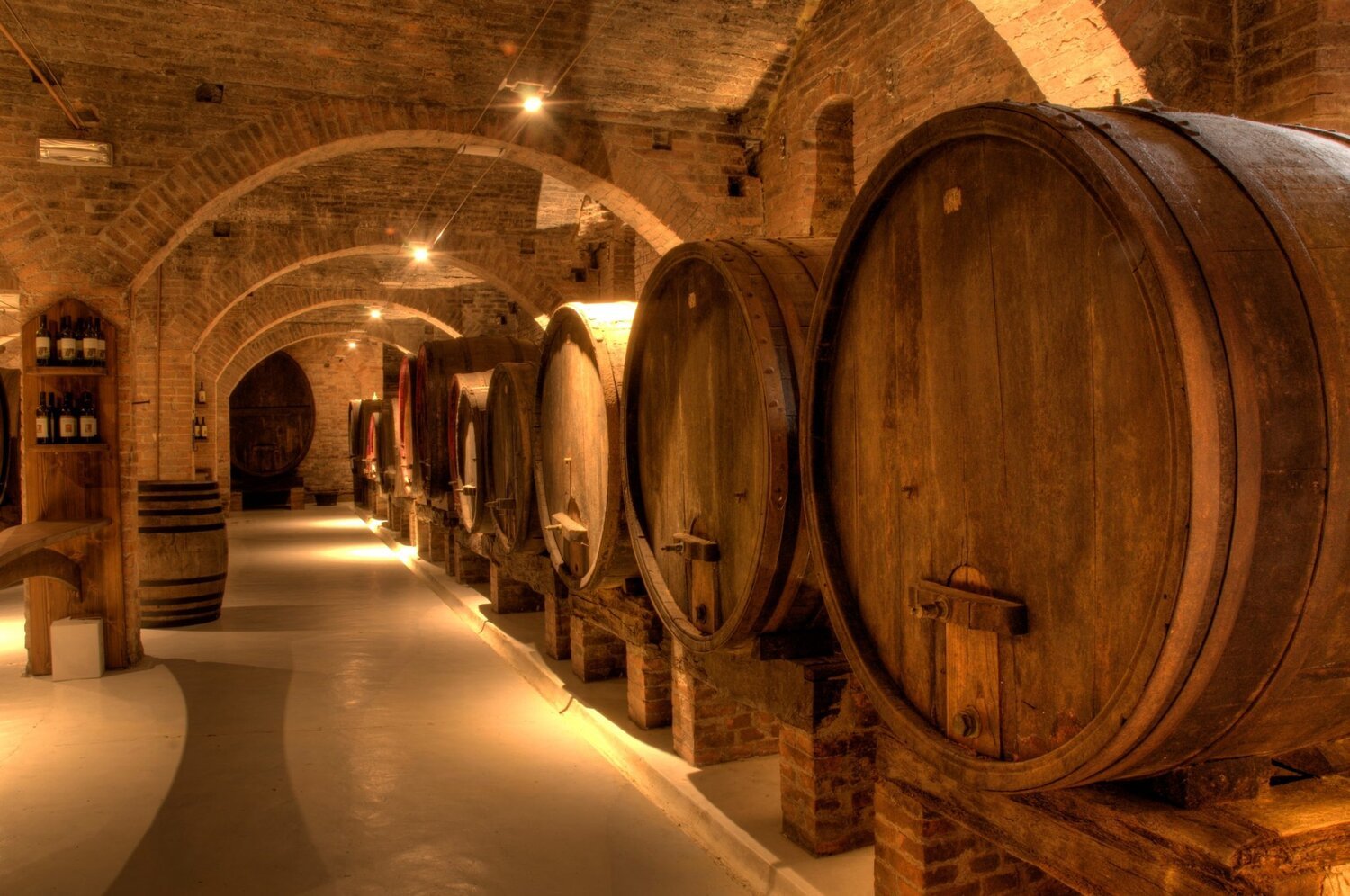 langhe-and-roero-s-wine-cellar-visit.jpg