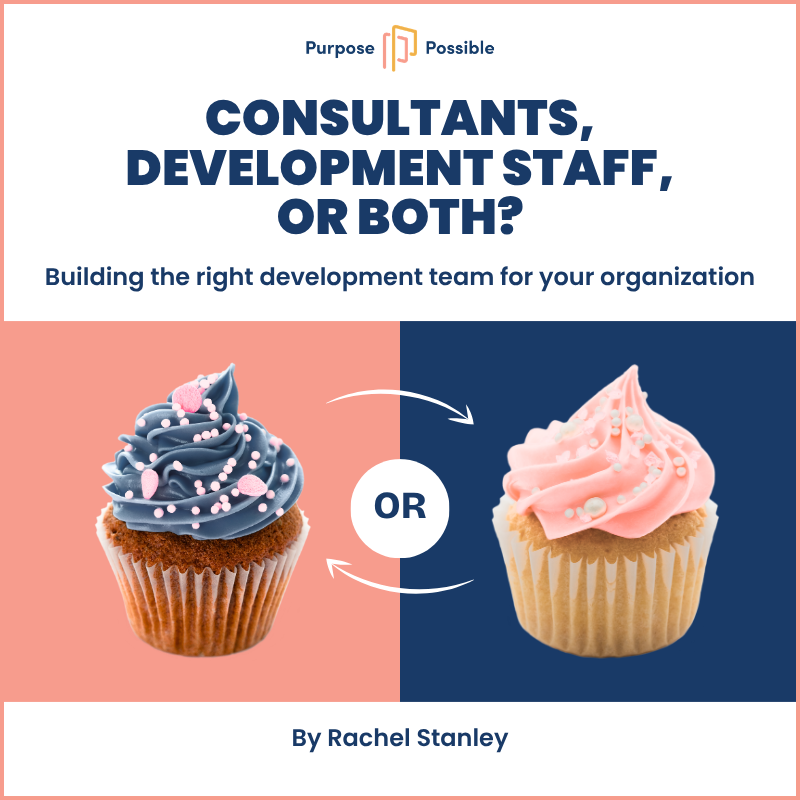 Consultants, Development Staff, or Both?