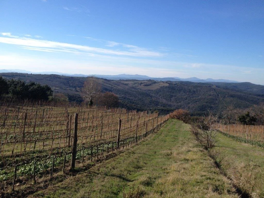 And the 2016 vintage begins...  