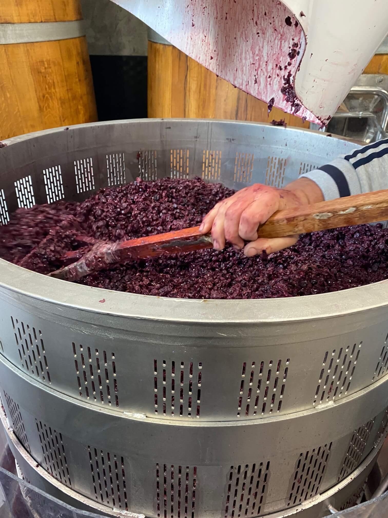 winemaking-4.jpg