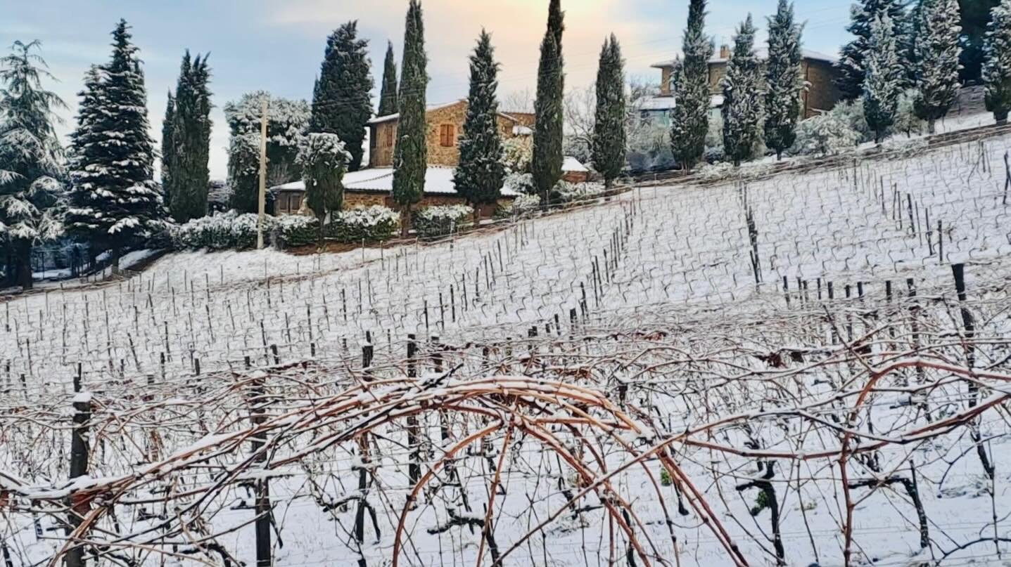 We had our first winter snowfall yesterday, January 6th, here at Il Palazzone. Those who have visited us can imagine how challenging it was to drive on our snowy road ! The building you can see behind the Le Due Porte vineyard is our office. So beaut