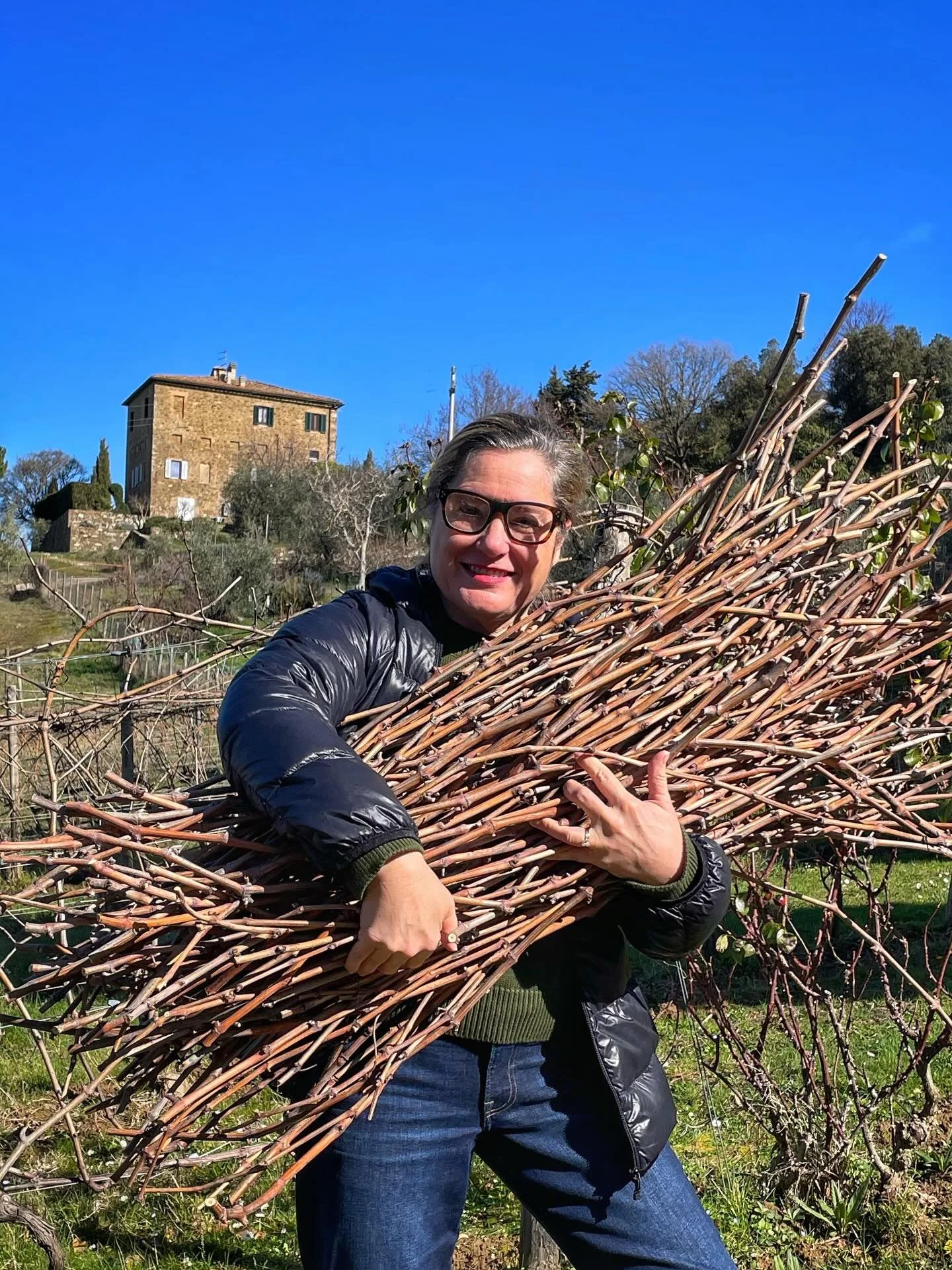 We have harvested some cuttings from our nearly 50-year-old vineyards. These will remain dormant in a cool, dark environment until late spring, when they will be used to graft new vines and revive rare, forgotten clones.

Isn&rsquo;t just fascinating