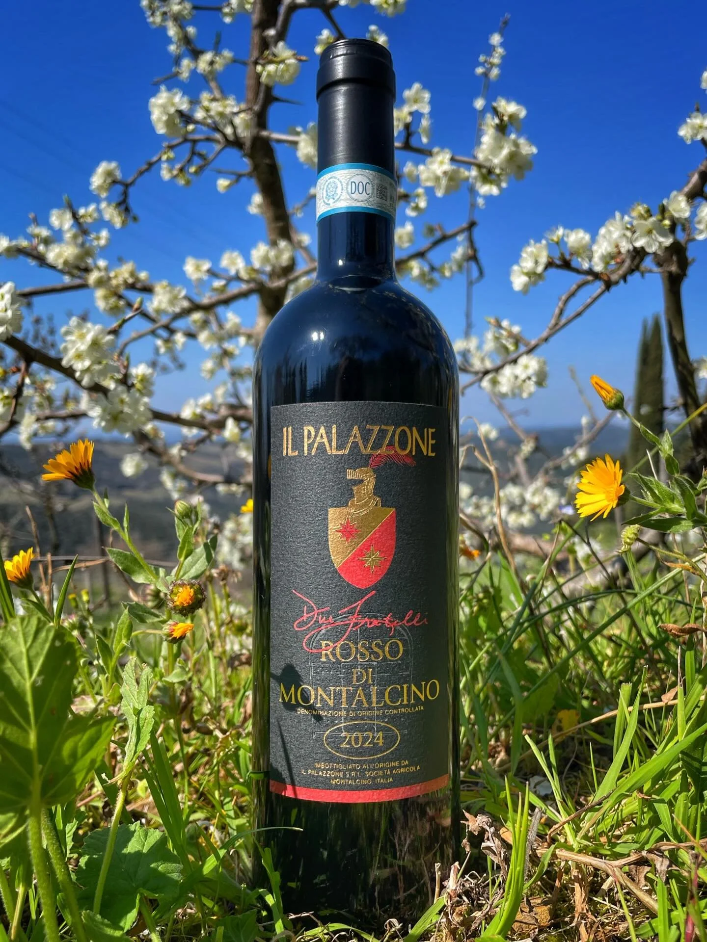 This is a hymn to spring. While a new cold snap is forecast, the spirit of spring is already here; you can hear, feel, and smell it everywhere. It is with this sense of joy, vitality and freshness that we introduce our new Rosso di Montalcino, Due Fr