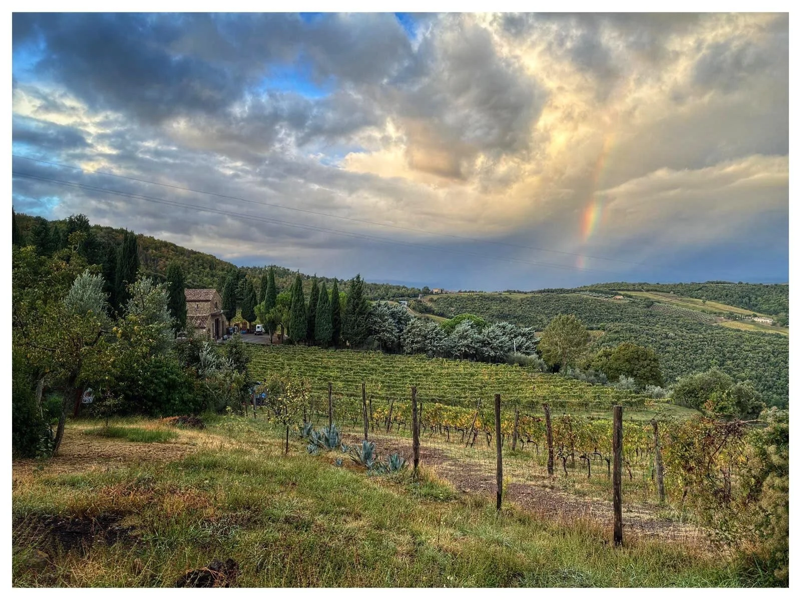 There was a rainbow at Il Palazzone this morning after the night&rsquo;s rain had cleared.