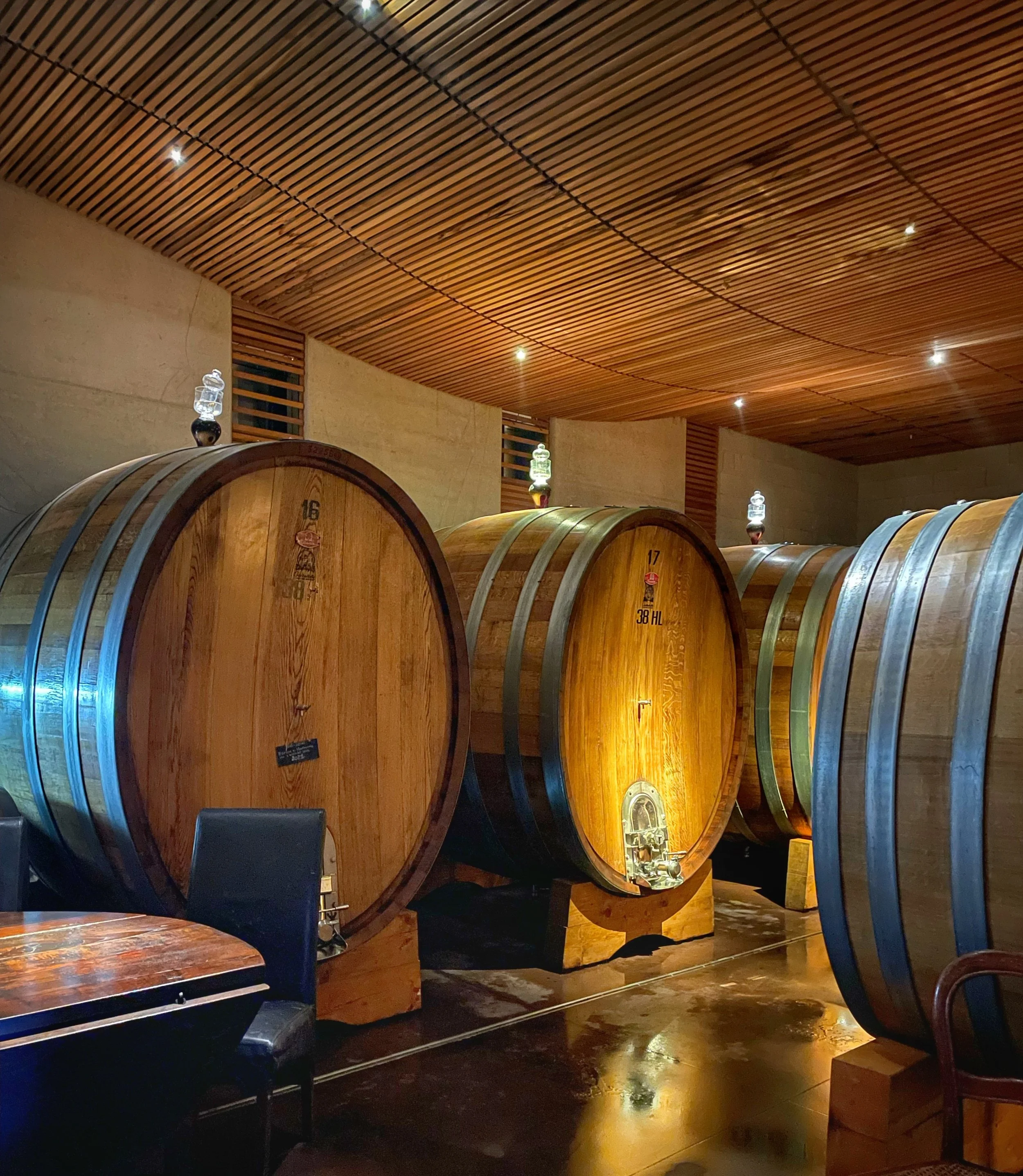 Il Palazzone Aging cellar.jpg