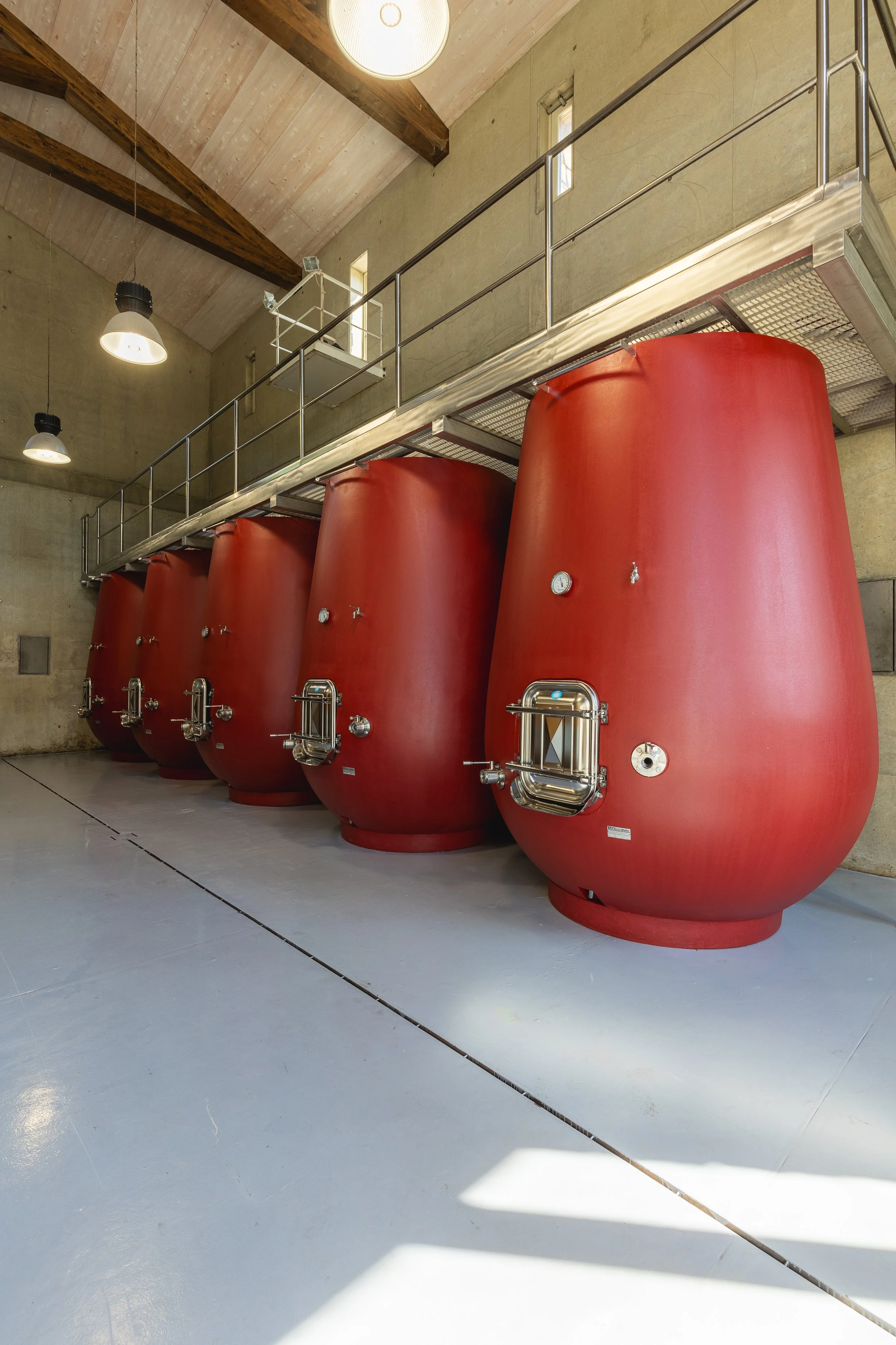 Il Palazzone Vinification room_2.JPG