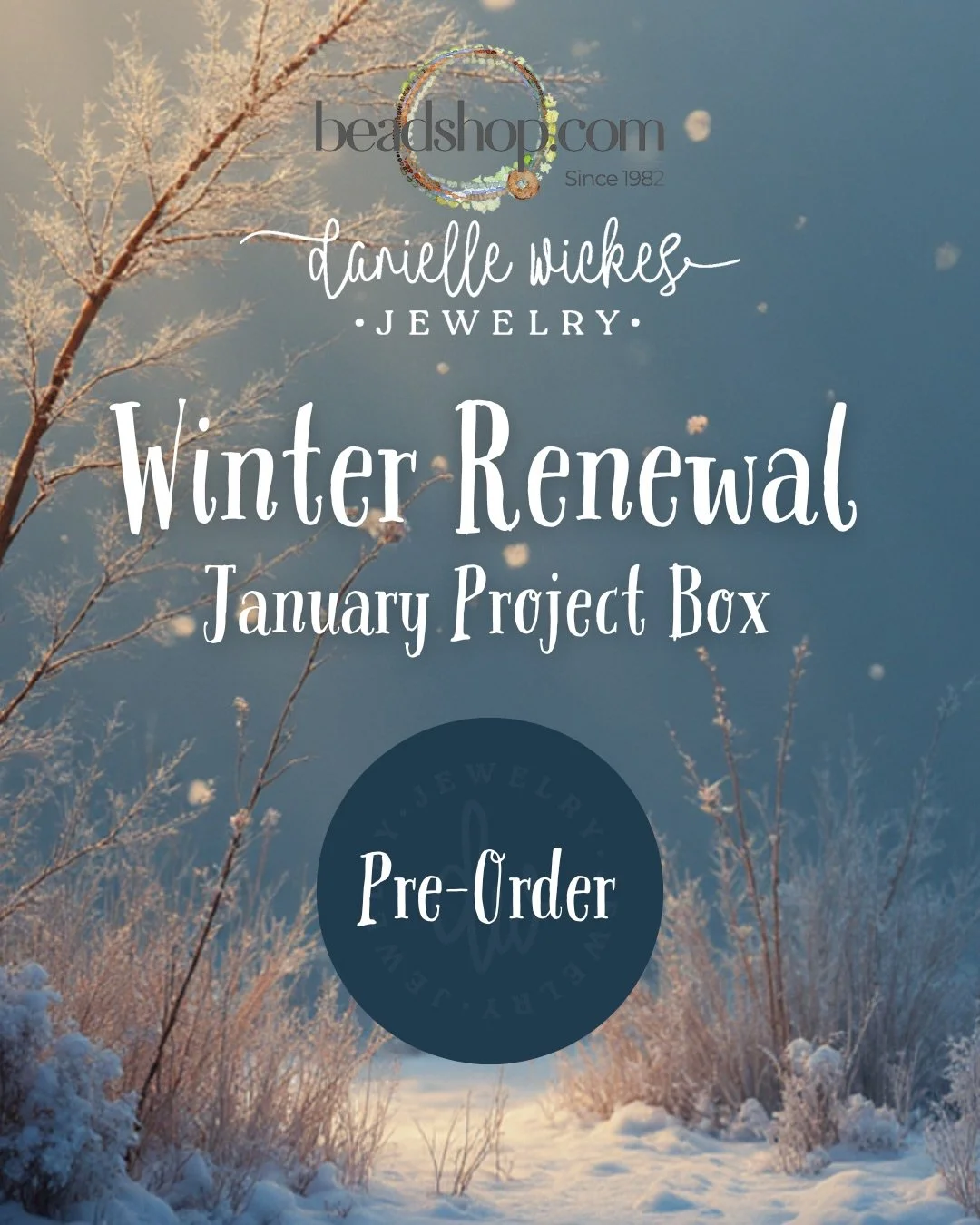 Pre-Order links are live! Join us for all the fun classes we have planned ☃️ Find schedule details, links to live classes, and pre-order links here: https://www.daniellewickesjewelry.com/patternstutorials/january-project-box
#beadbox #daniellewickesp
