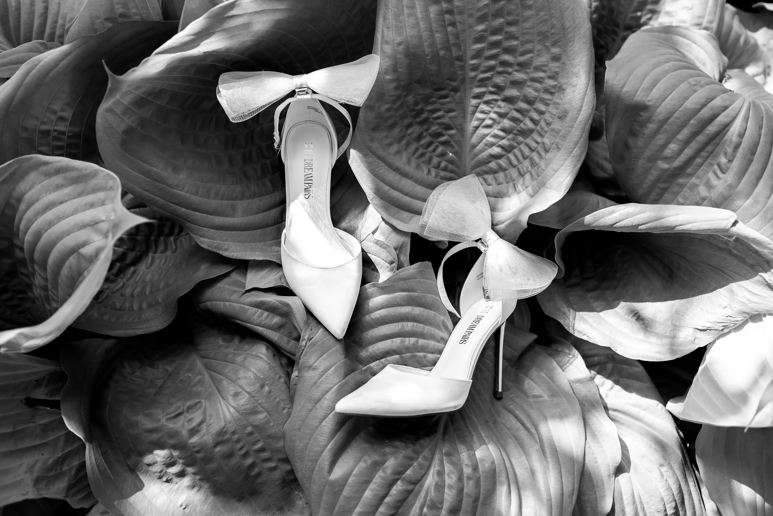 A pair of white high-heeled shoes with bows on a bed of large tropical leaves.