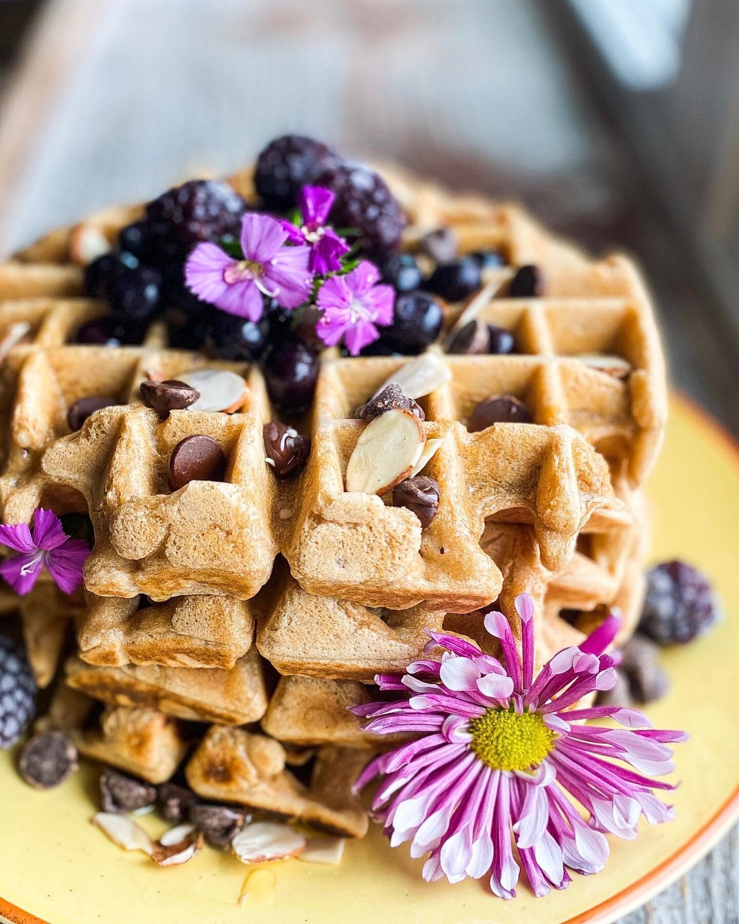 How about Easy Protein Waffles for the weekend, pals? 13 grs of protein per waffle, super yummm, fluffy, not heavy on fat, refined sugar free, nut free, and perfect for brunch!! Get full recipe from my profile or at www.veggielation.com Over here I a