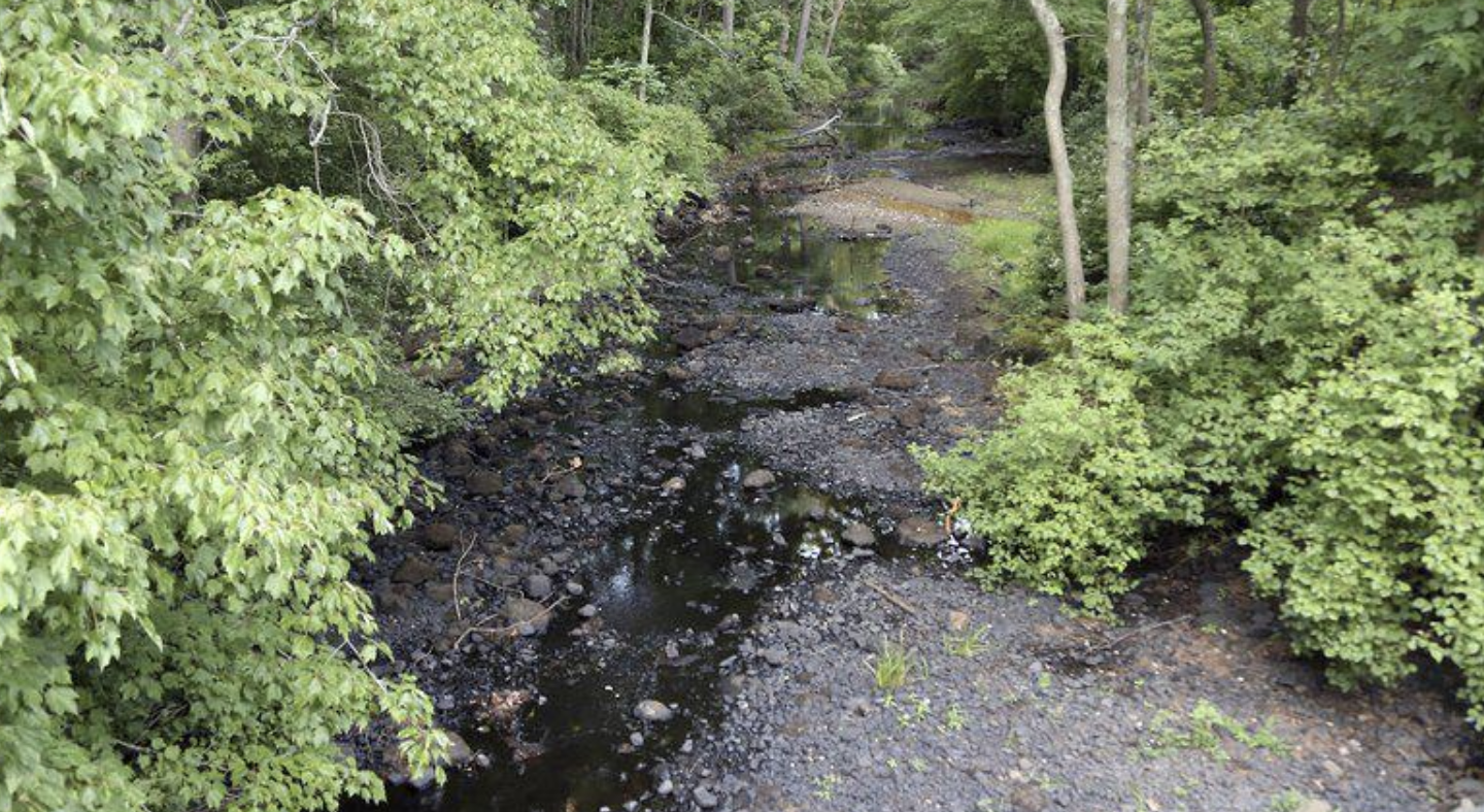 “When the well’s dry, we know the worth of water.” – Benjamin Franklin