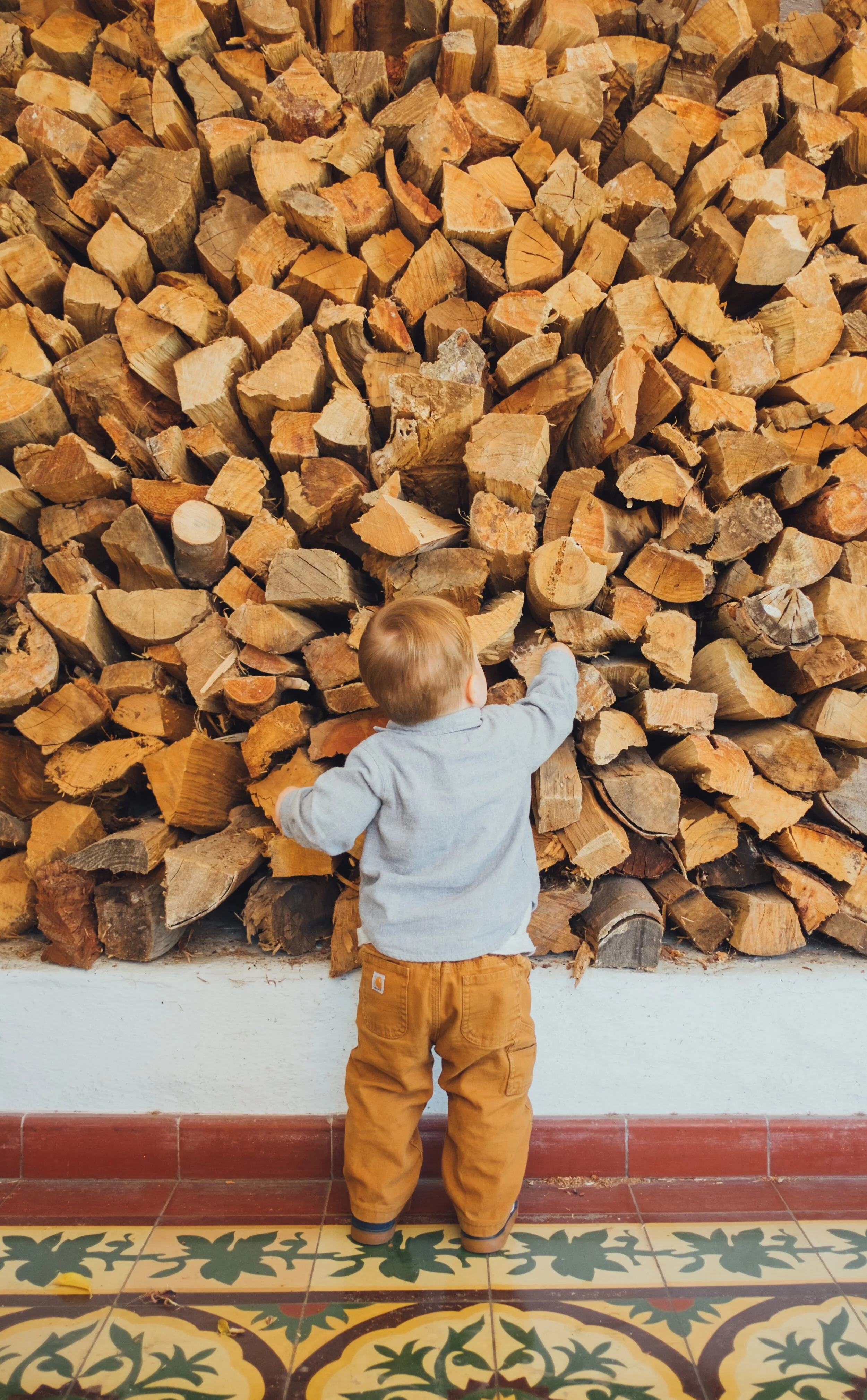 Here's the Story of our Firewood