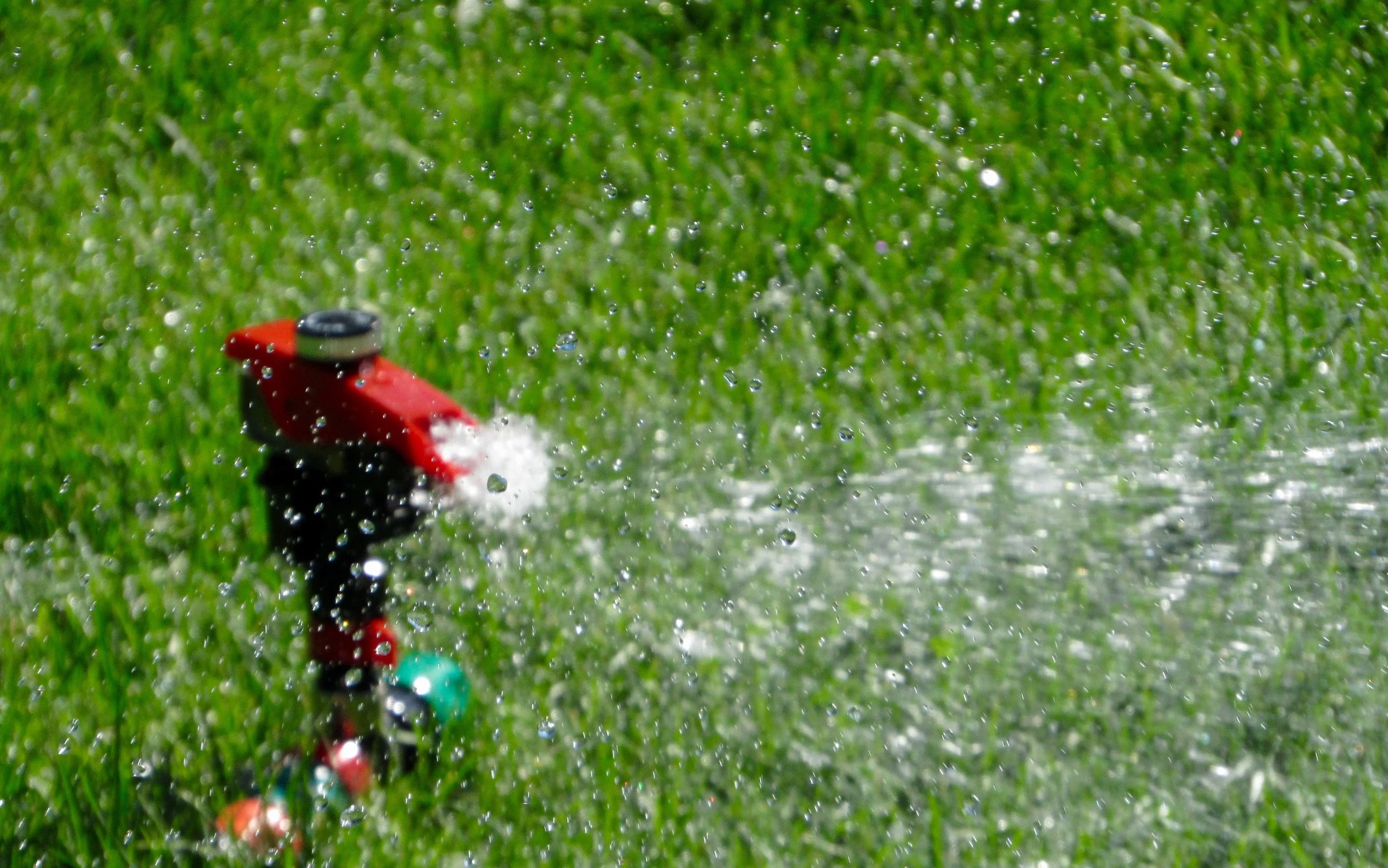 It’s all about the Water