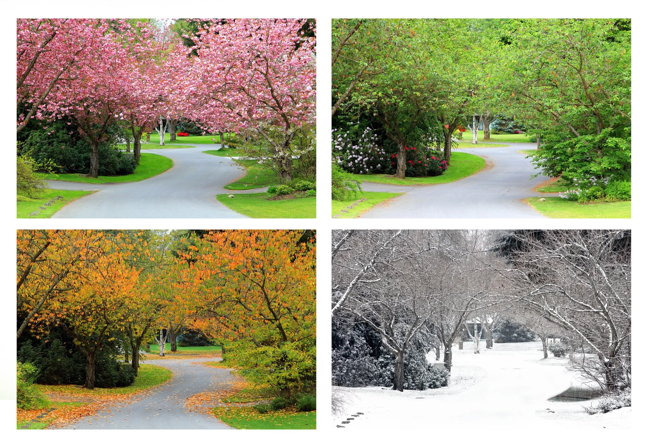 Planning Matters: Understanding the Landscaping Cycle