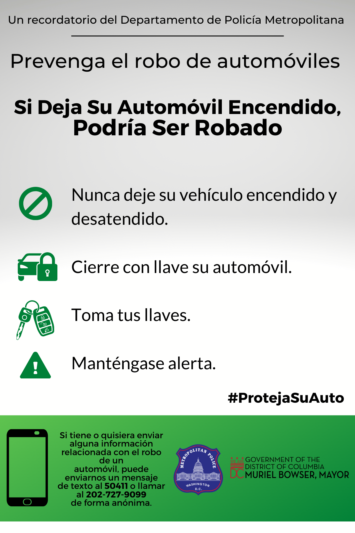 Auto Theft Flyer - Spanish Version .png