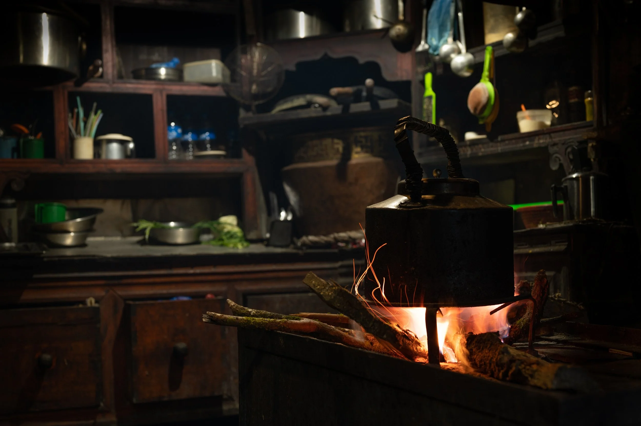 COOKING IN THE HIGH HIMALAYA.jpg