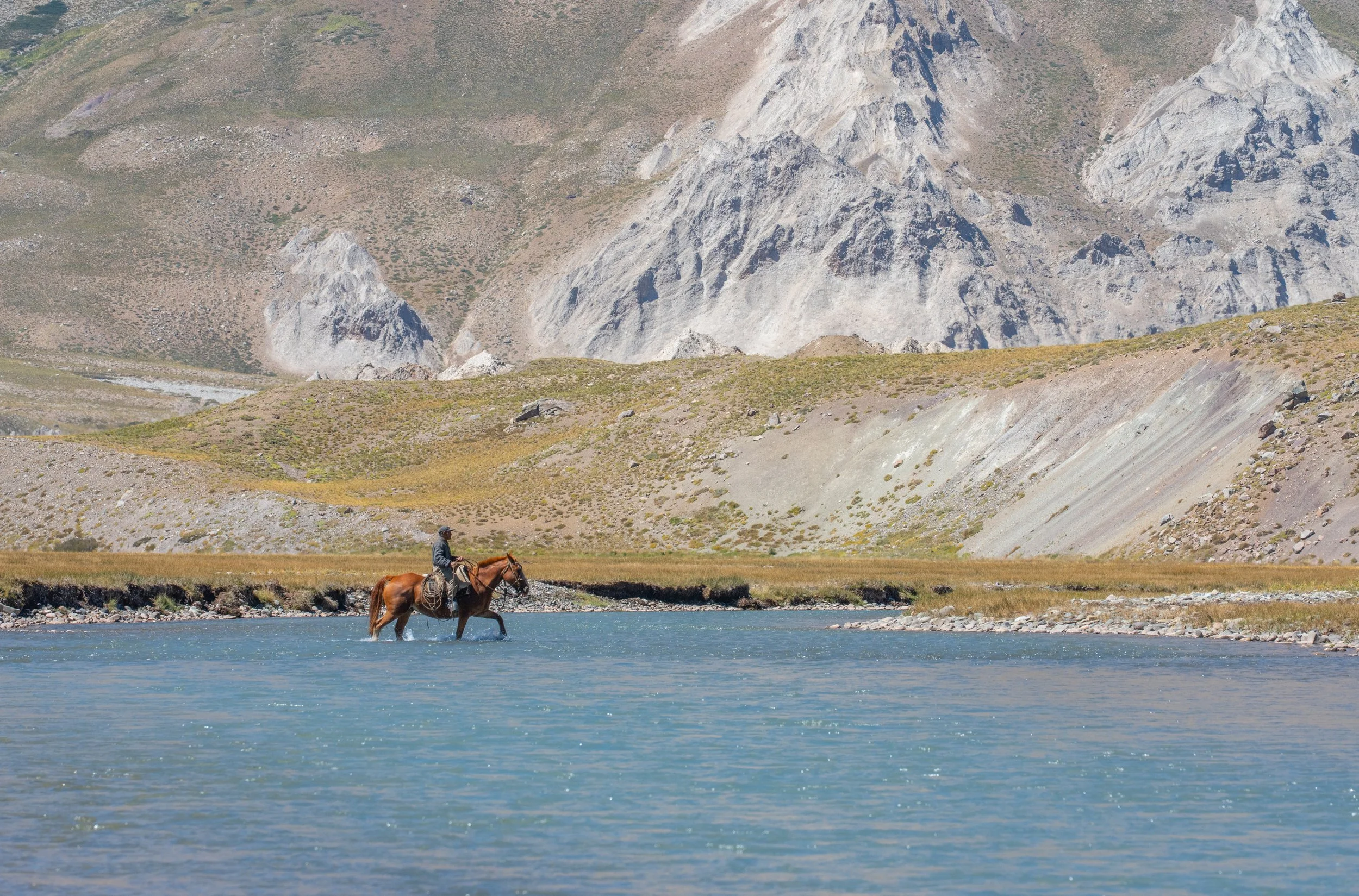 DSC_1720.jpg