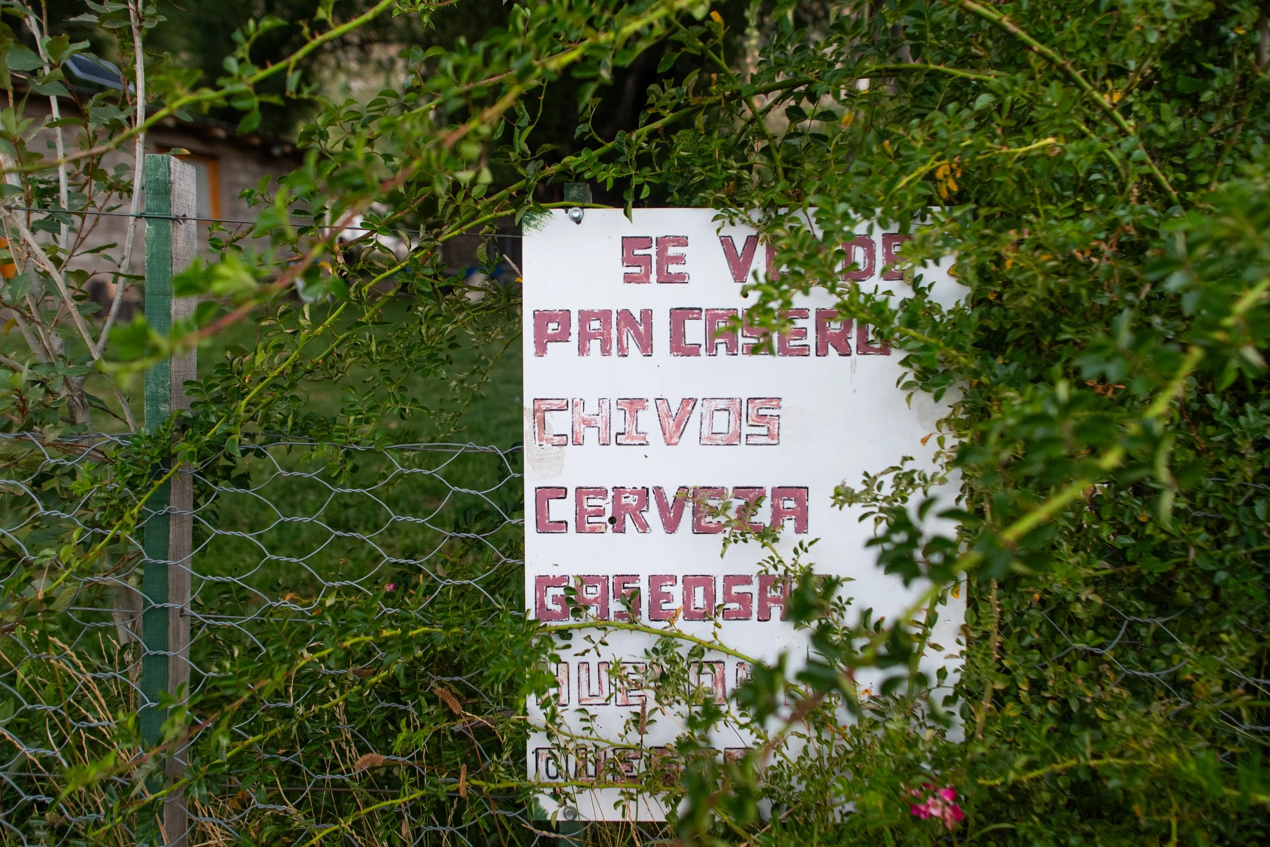 DSC_2571.jpg