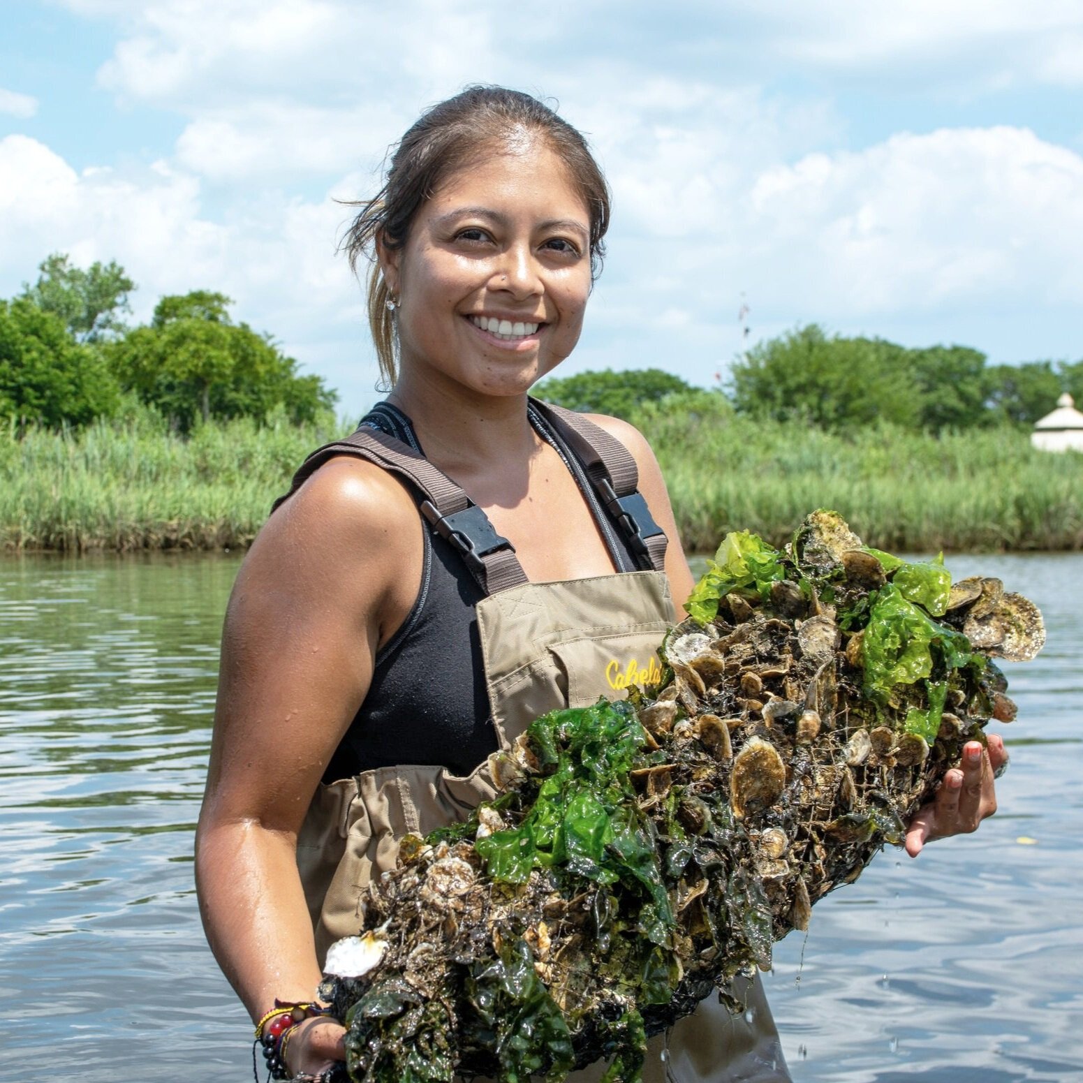 Tatiana Castro: the Colombian woman saving New York's oysters