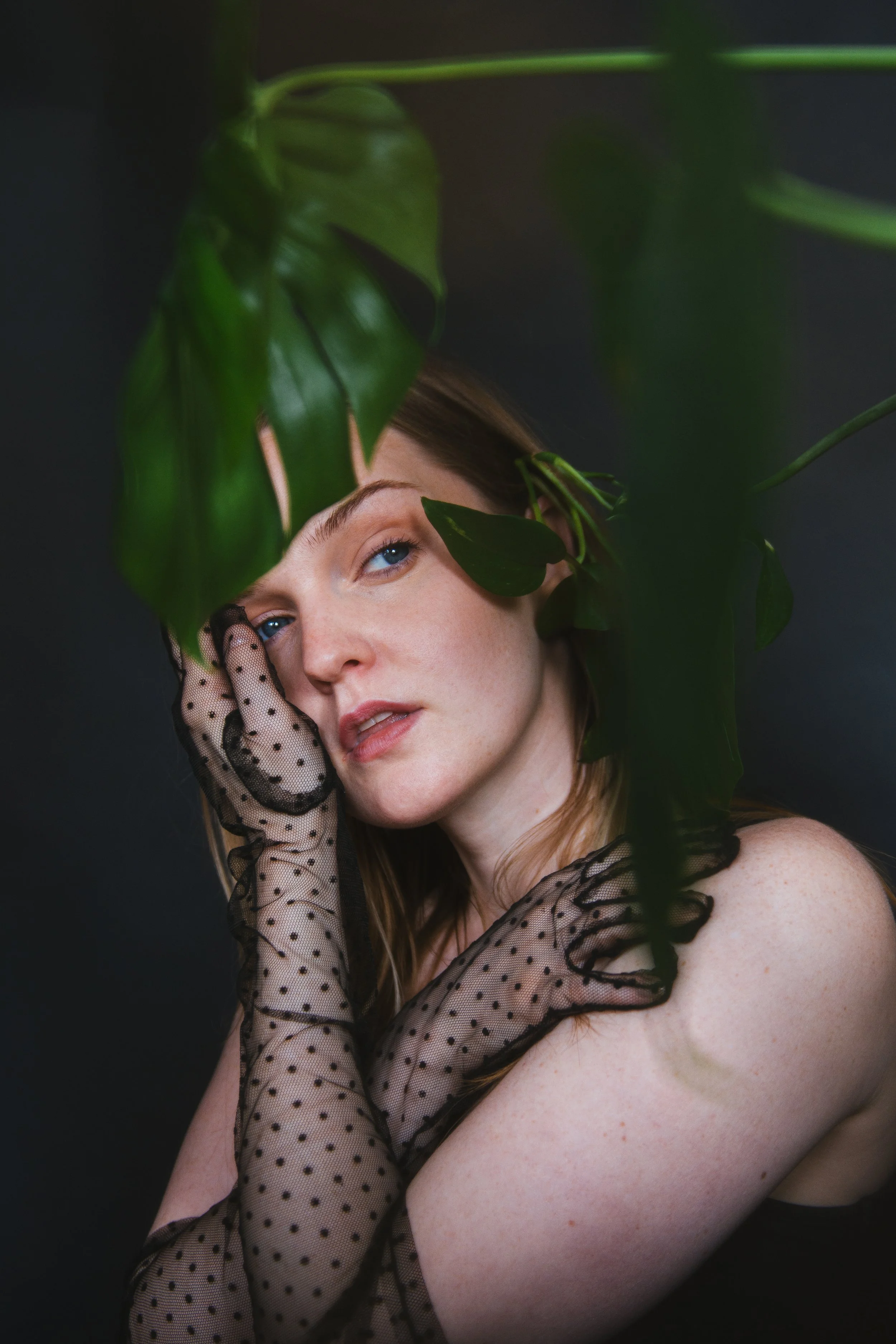 HalleaPlantFairy-5121.jpg
