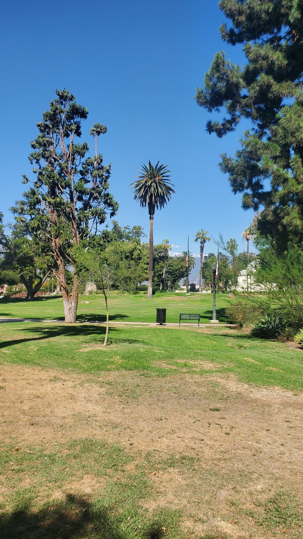 Hollywood Memorial Park.jpg