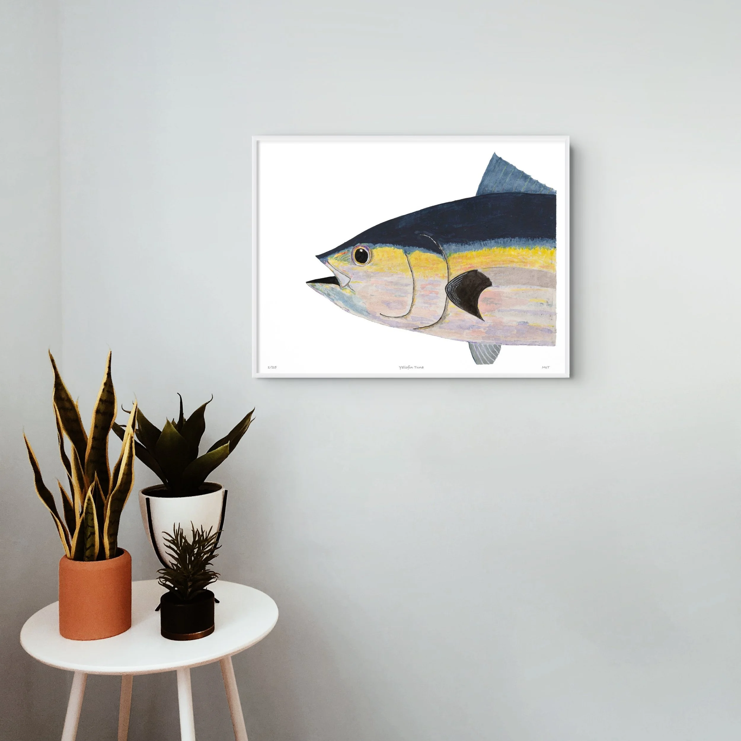 website___yellowfin_tuna_head__10.jpg