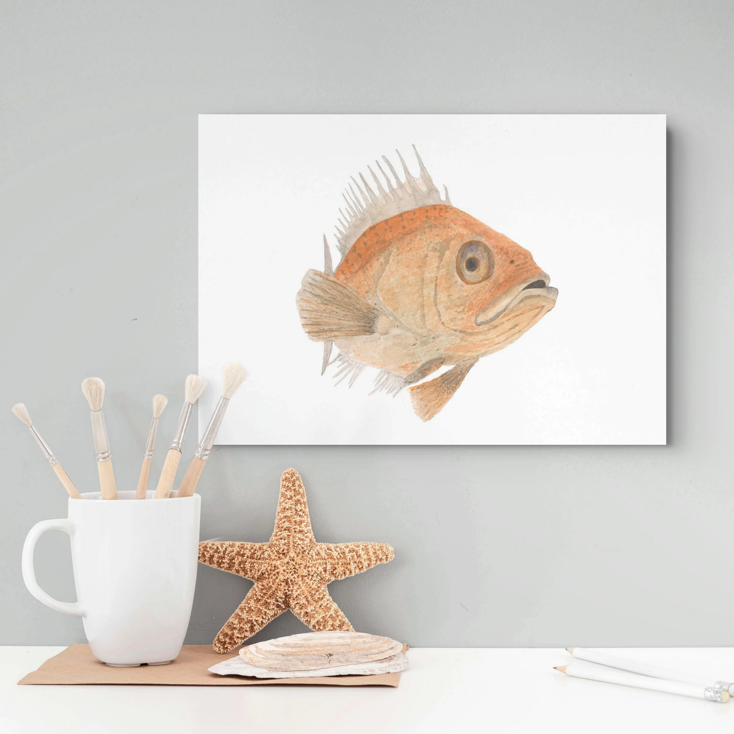 Snapper  ‘Looking Around’