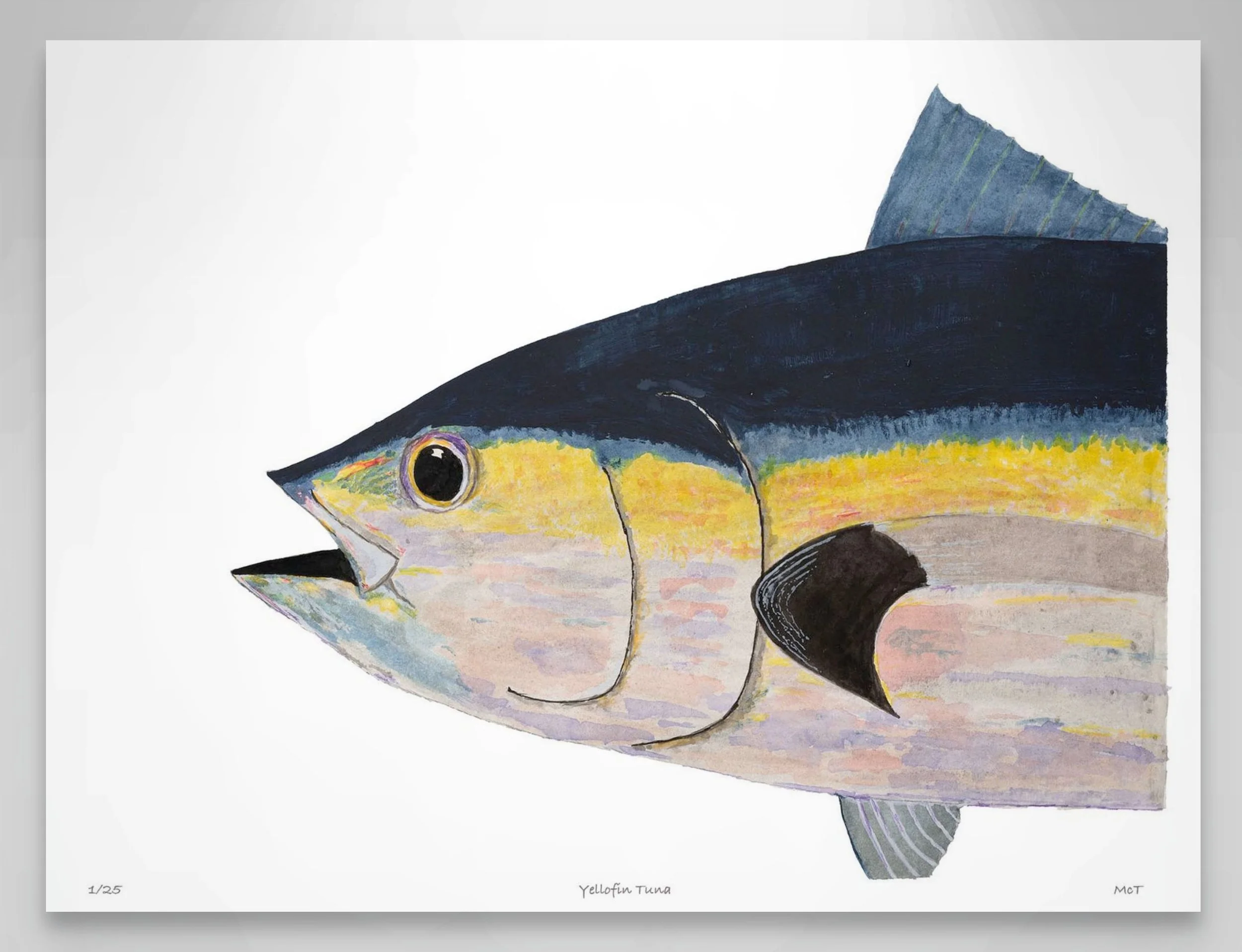yellowfin tuna 221-custom.jpg