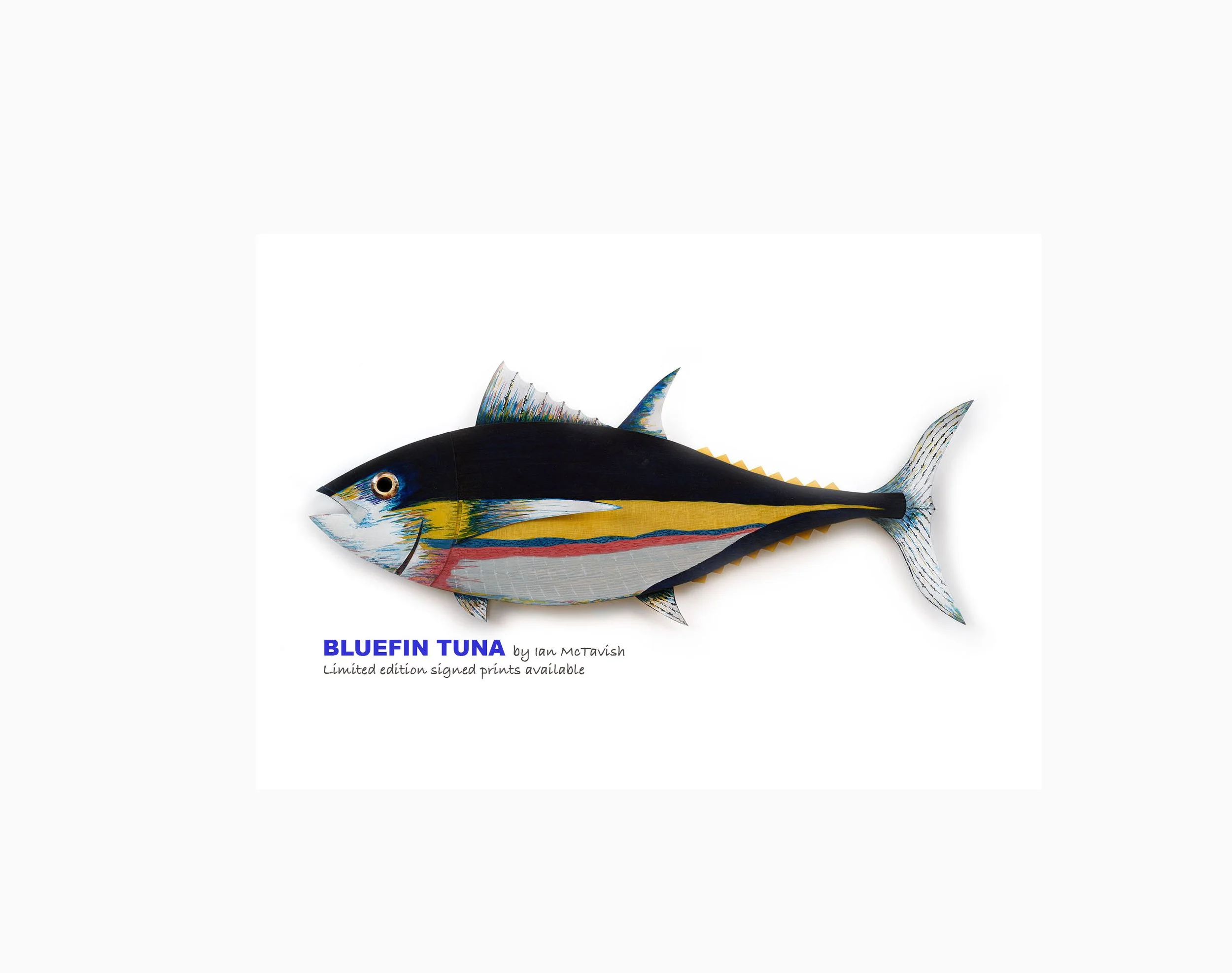 BLUEFIN TUNA