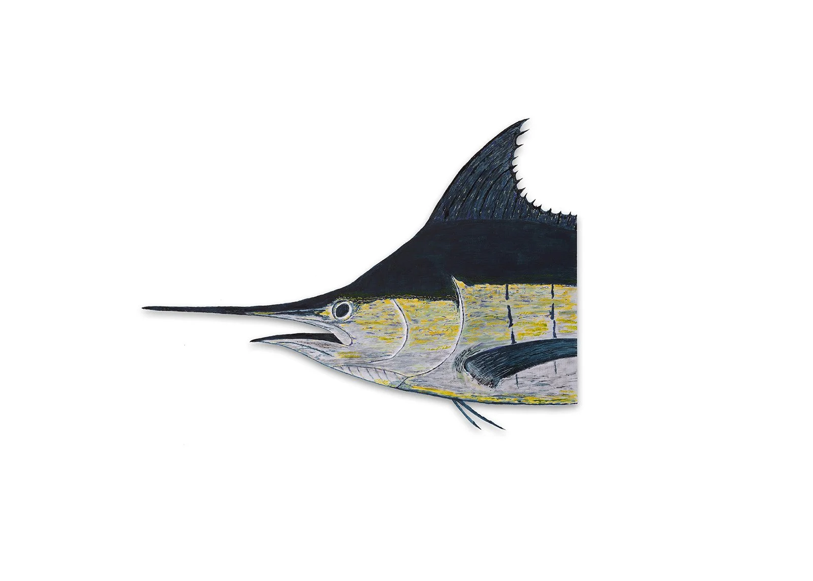 Blue Marlin Head