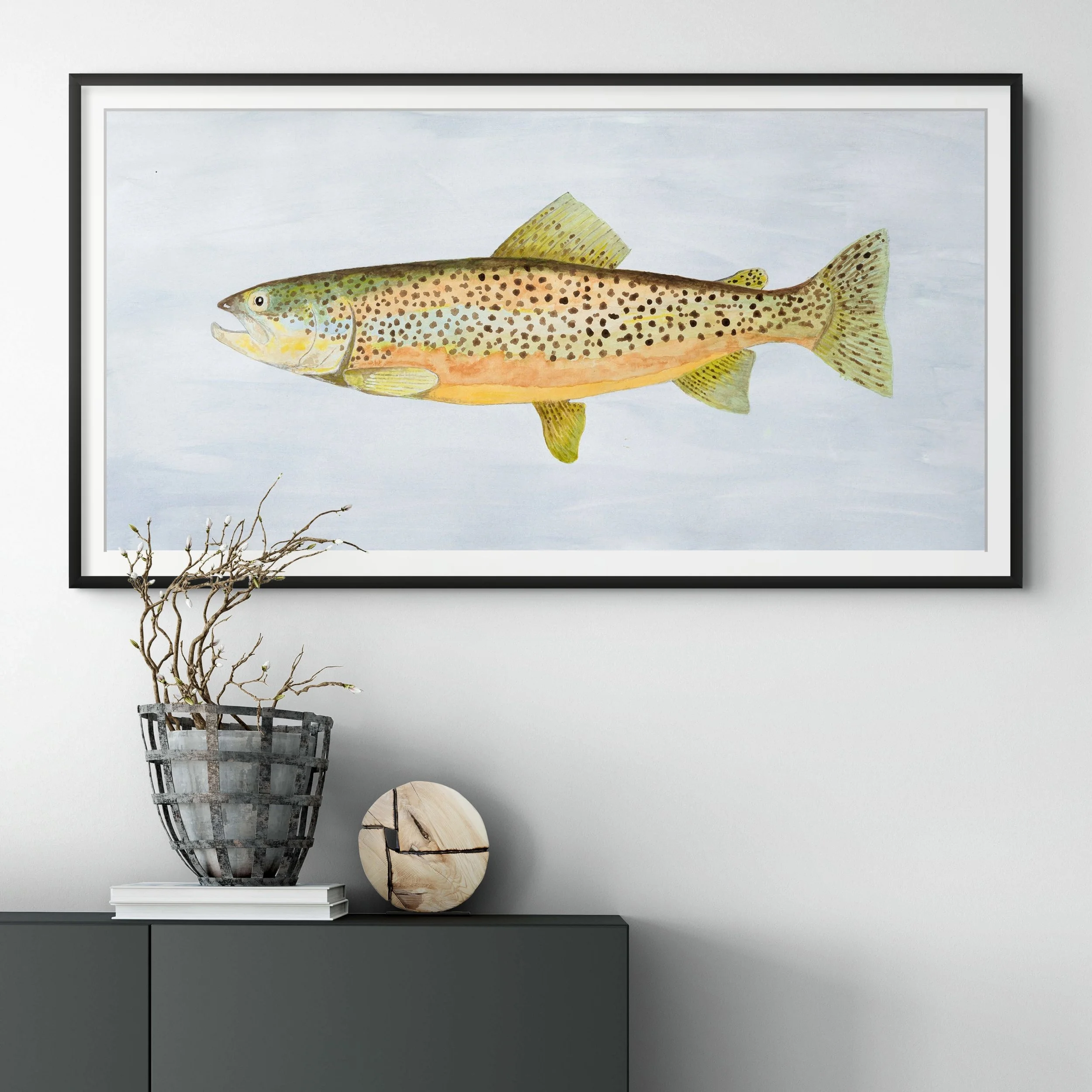 Brown Trout