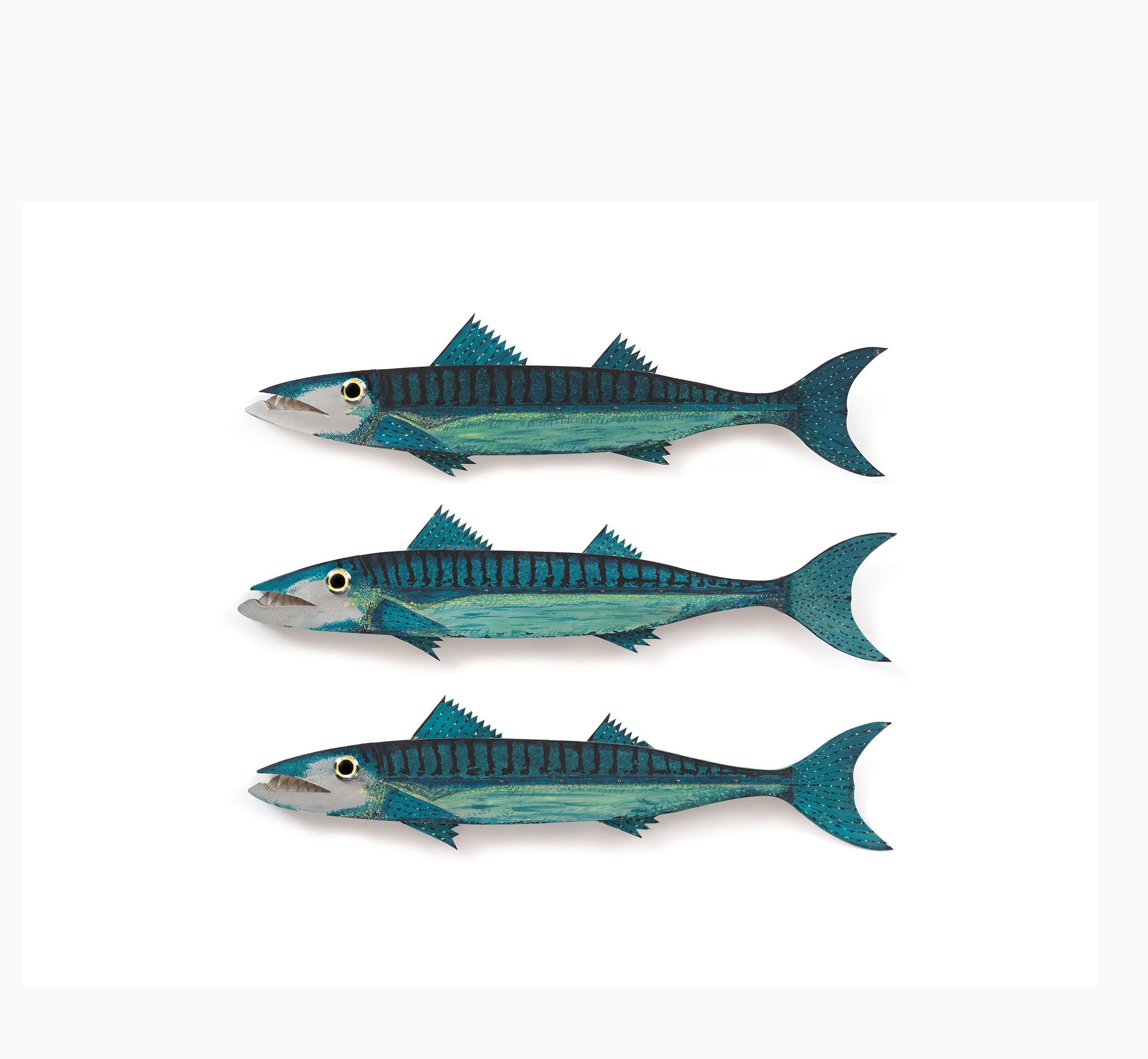 BARRACUDA TRIO