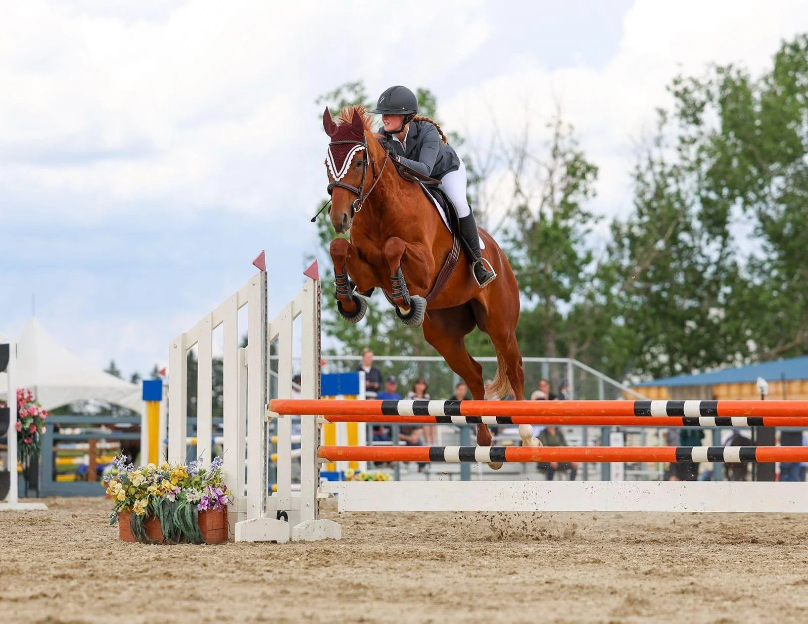 WhatsApp Image 2025-11-16 at 20.20.23.jpeg