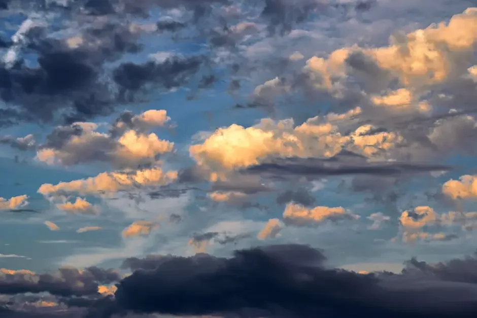 7 Key Benefits of Using Bail Bond Agencies in South Florida