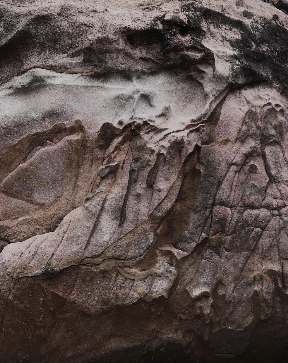 Screenshot 2026-03-08 at 10.50.09 PM.png