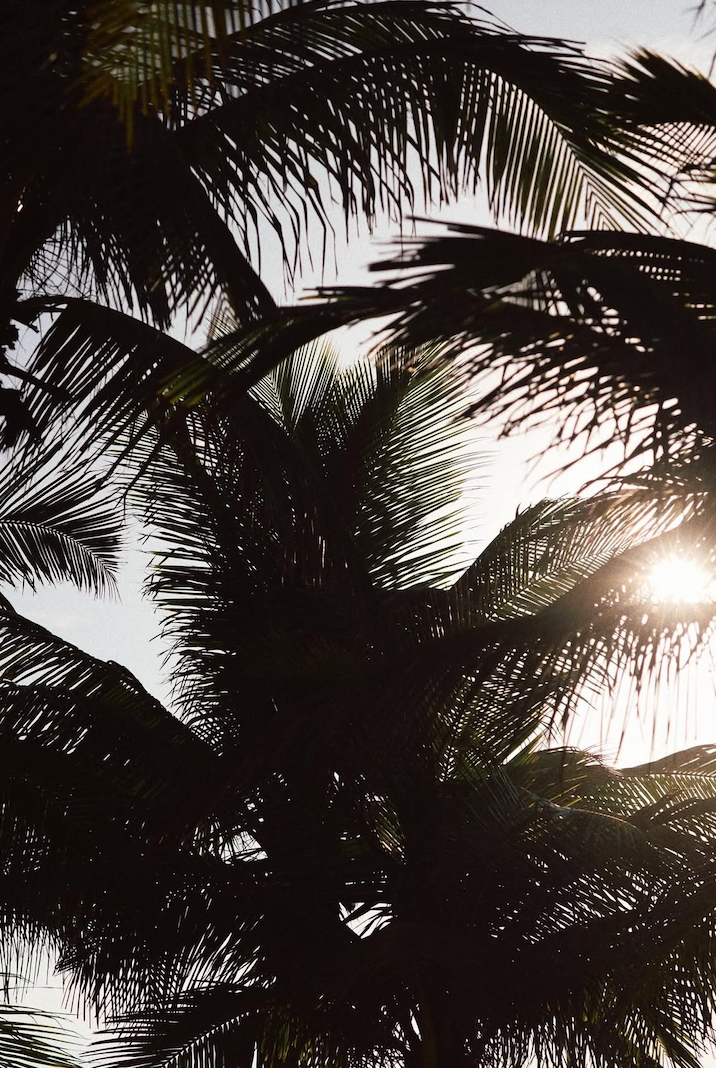 Screenshot 2026-01-26 at 5.10.18 PM.png