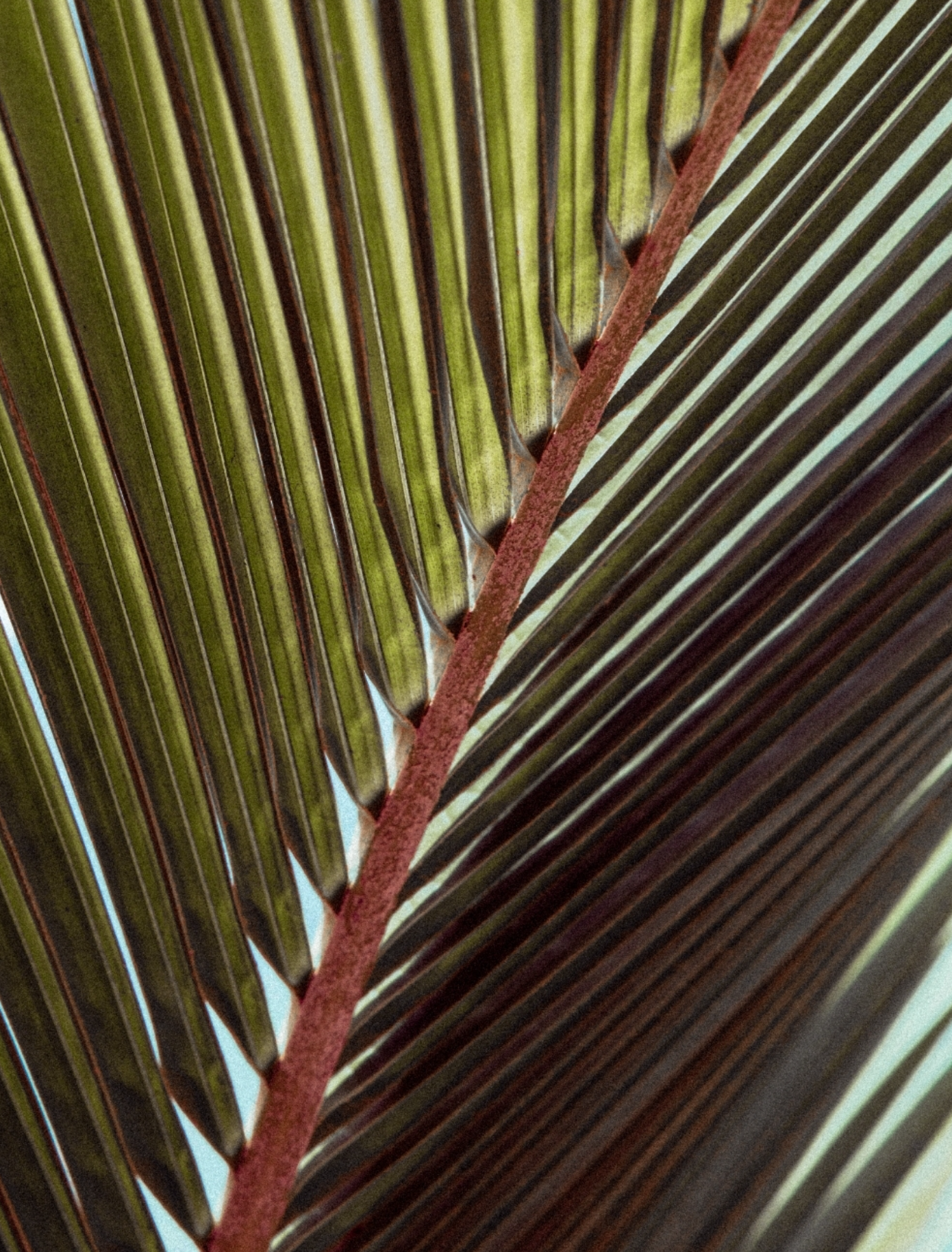 Screenshot 2024-02-08 at 11.52.08 AM.png