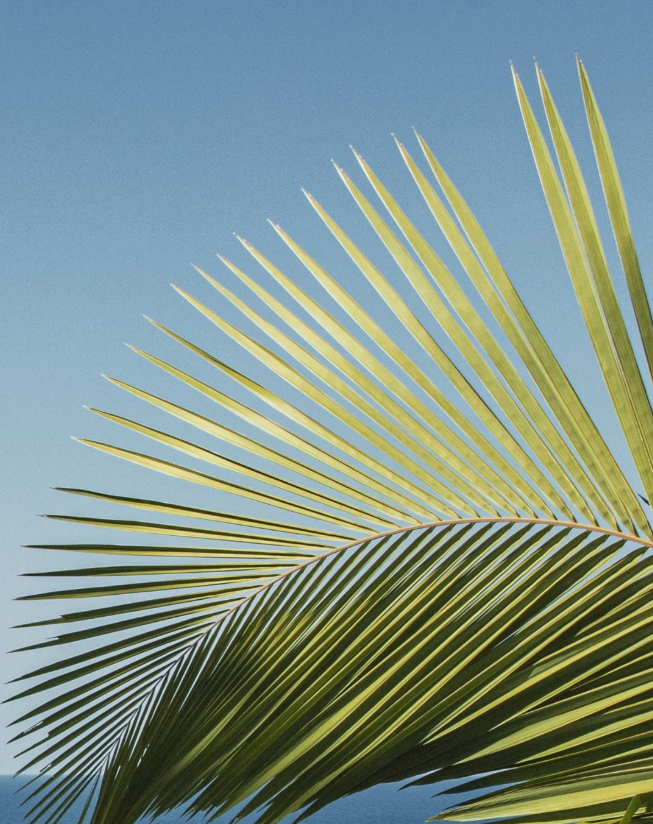 Screenshot 2026-01-26 at 5.16.17 PM.png