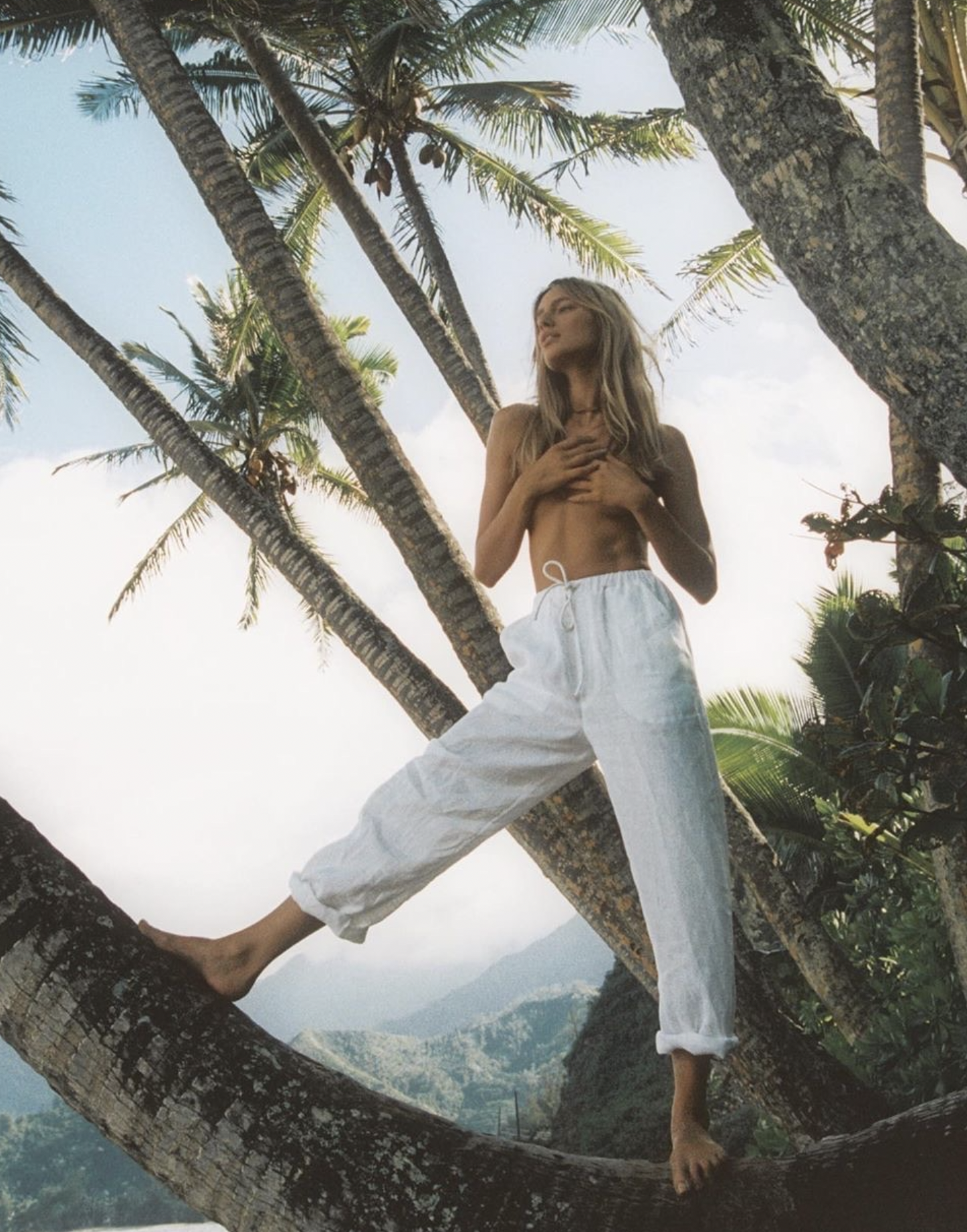 Screenshot 2025-01-01 at 8.54.28 AM.png