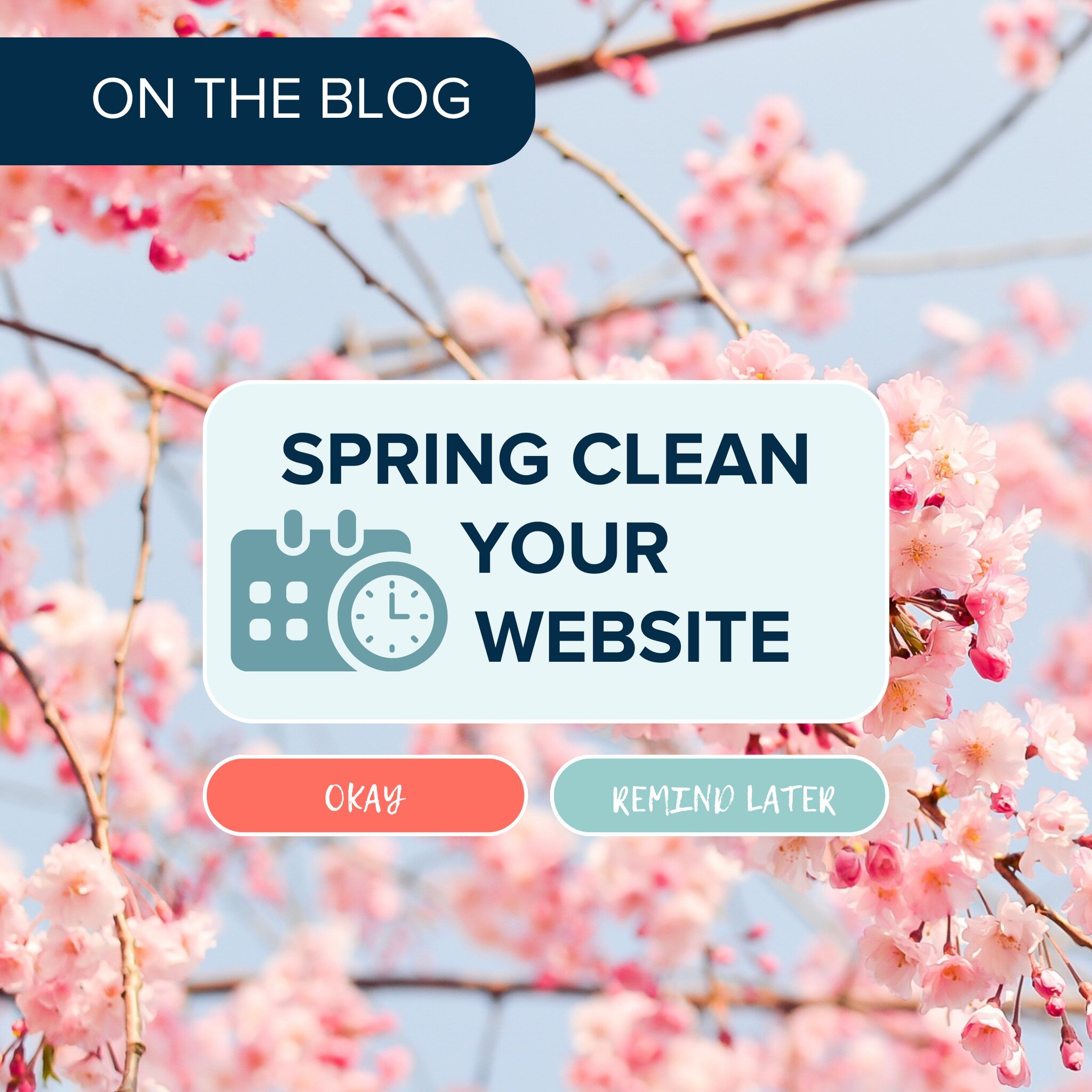 ⌛️It's time. 🧹Cleaning = not fun 😕. Tidying your website = I'm here to help! 👩&zwj;💻On the Blog: https://www.pfeiferdesign.com/blog/springcleanyourwebsite

#website #websitedesign #graphicdesigner #graphicdesign #webdesign #branding #squarespacew