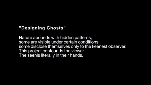 "Designing Ghosts" Nature abounds with hidden patterns; some are visible under certain conditions; some disclose themselves only to the keenest observer. This project confounds the viewer. The seen is literally in their hands.