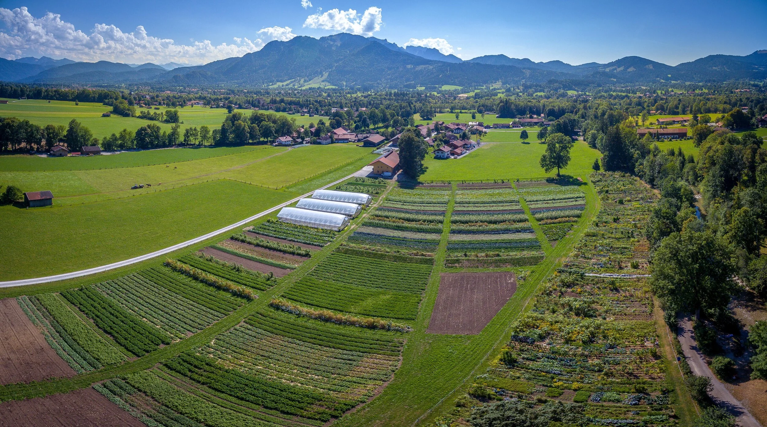DJI_0016-Pano.jpg