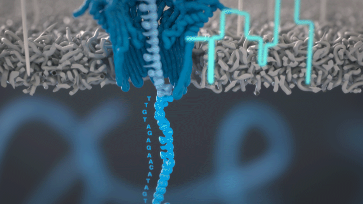 Nanopore Sequencing, Dizileme Hizmeti, Sekans Hizmeti