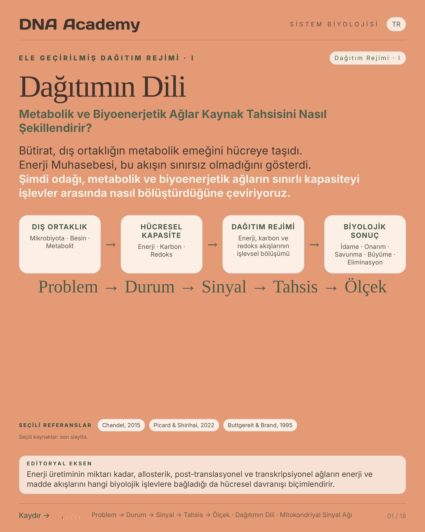 🧬 Dağıtımın Dili I: Metabolik B&ouml;l&uuml;ş&uuml;m ve Kaynak Tahsisi

H&uuml;cresel davranış, yalnızca ne kadar ATP &uuml;retildiğiyle a&ccedil;ıklanamaz. Metabolik ve biyoenerjetik ağlar; enerji, karbon, indirgenme g&uuml;c&uuml; ve d&uuml;zenley
