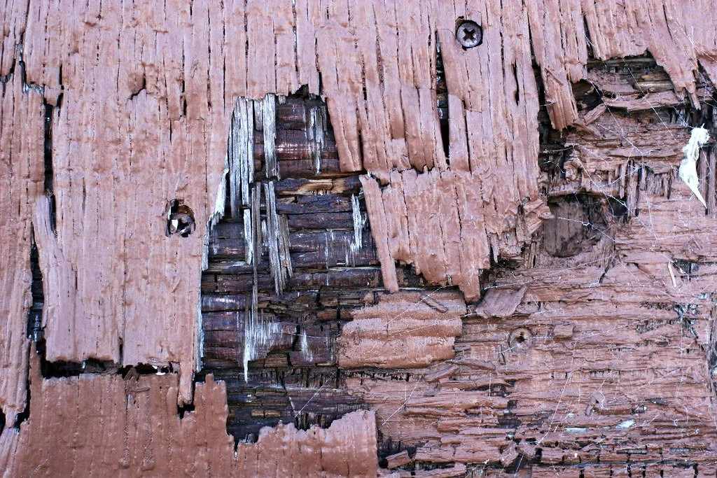 On Turning Sixty-Five