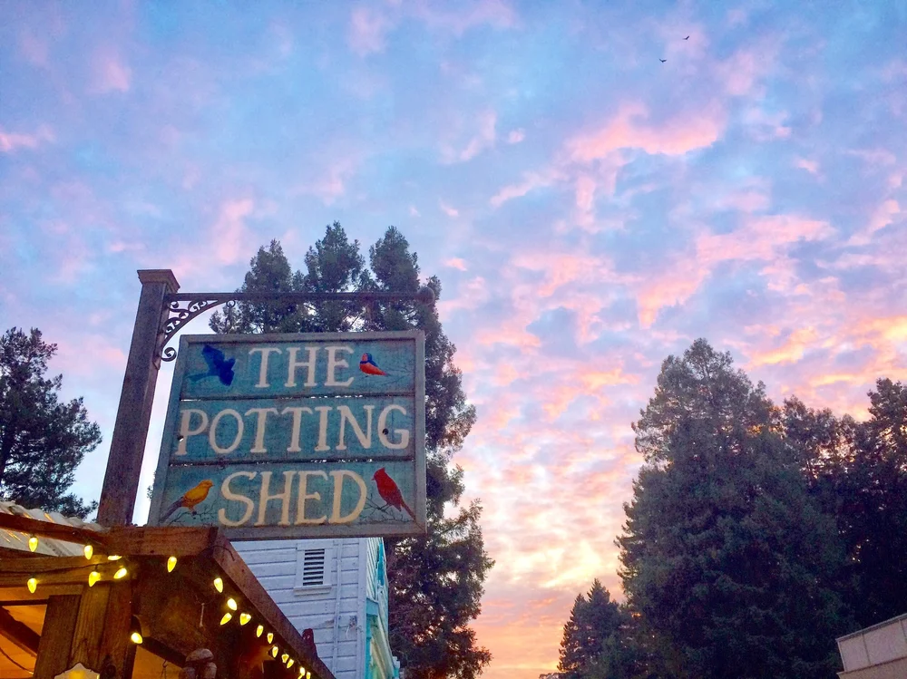 the potting shed online