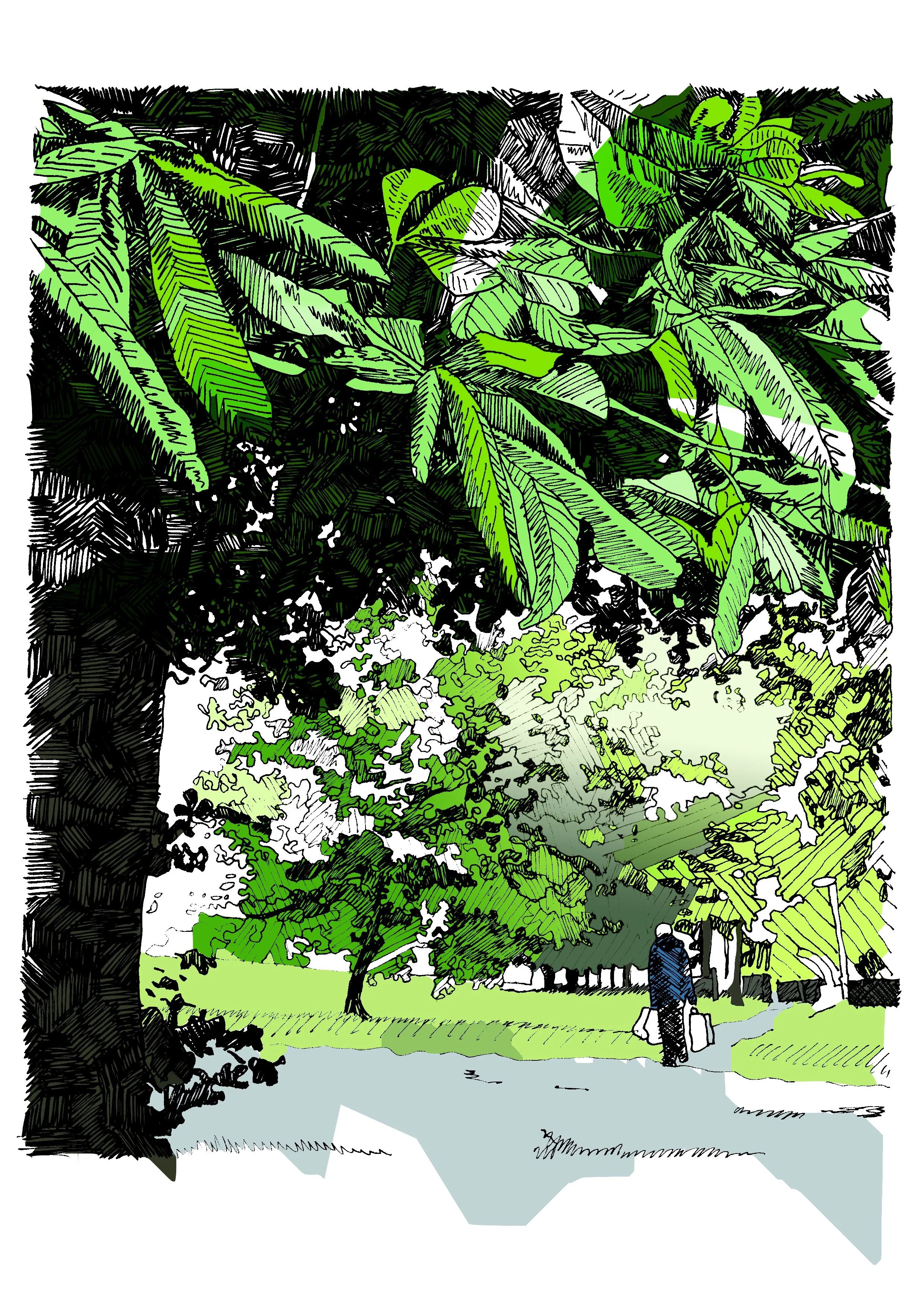 Public Park Trees.jpg