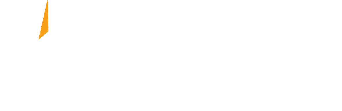 PORTFOLIO UNIVERSITY