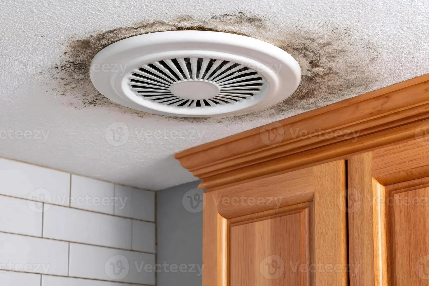 Bathroom Fan: When to Replace Yours for a Healthier Home