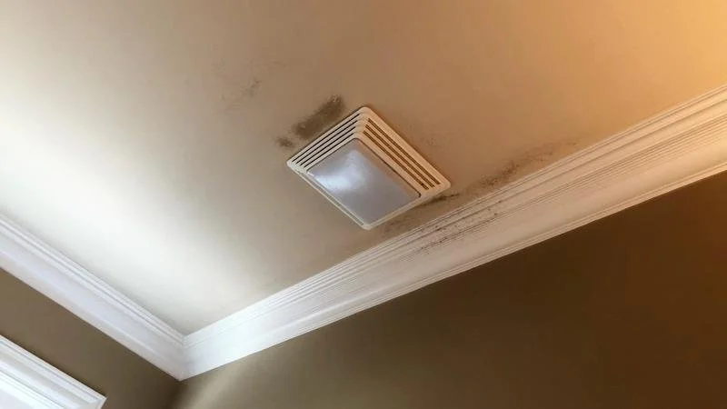 bathroom fan replacement vancouver